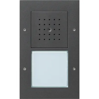 Gira Türstation Aufputz 1-fach 126667 | Türkommunikation | Bus-Technik | Ruftaster | Vandalismusschutz | anthrazit