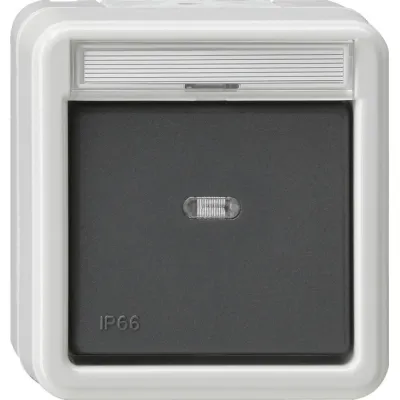 GIRA Wippschalter 010631 | Wechselschalter Aufputz IP66 | mit Beschriftungsfeld | 10A 250V | grau