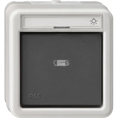 Gira Wipptaster Wechsler 015631 | Aufputz IP66 | 10A 250V | mit Beschriftungsfeld & Symbolen Licht/Klingel/Tür | grau