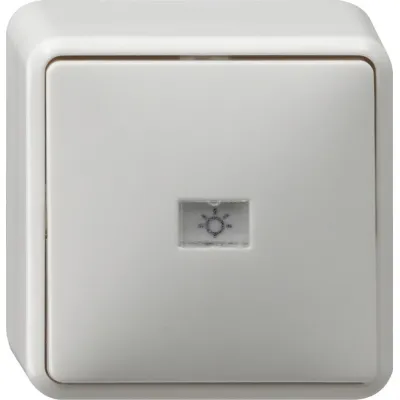 GIRA Wipptaster Wechsler 015613 | Aufputz | 1-polig | Symbolschieber Licht/Klingel/Tür | 10A 250V | IP20 | reinweiß