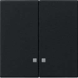 GIRA Wippe 0631005 2 fach System 55 schwarz
