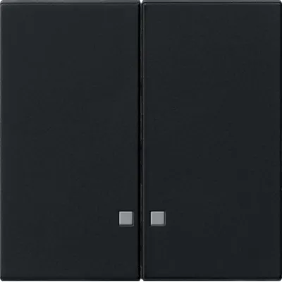 GIRA Wippe 0631005 2 fach System 55 schwarz
