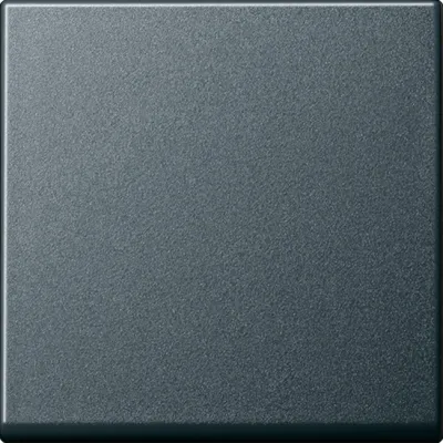 GIRA Wippe für Tastschalter 091628 | System 55 | Wechsel | anthrazit