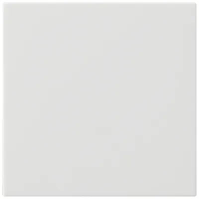 GIRA Wippe 1-fach 537227 | Schalterwippe System 55 | unbedruckt | Kunststoff Thermoplast | matt | weiß RAL 9010