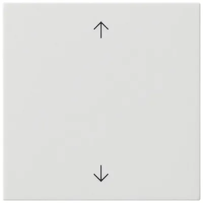 GIRA Wippe 1-fach 538903 Schalter System 55 | Pfeilsymbole | Kunststoff Thermoplast | glänzend | weiß RAL 9010