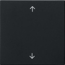 GIRA Wippe 1-fach Schwarz 5389005