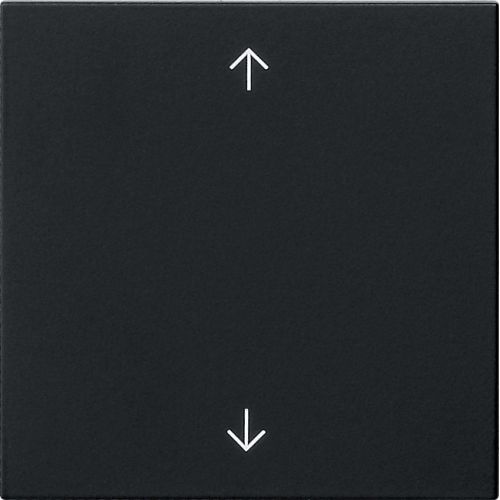 Bild: GIRA Wippe 1-fach Schwarz 5389005