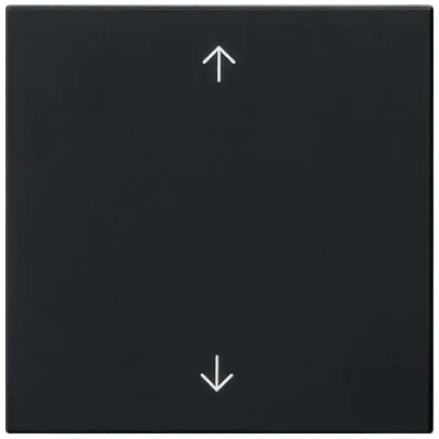 GIRA Wippe 1-fach 5389005 | Schalterwippe System 55 | Pfeilsymbole | Kunststoff matt lackiert | Schwarz