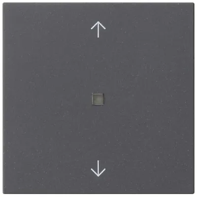 GIRA Wippe 1f Pfeile Kontrollf. Sys 55 anthr.