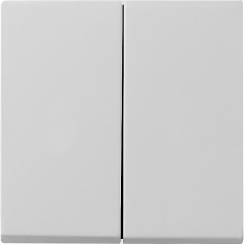 Bild: GIRA Wippe 2-f. grau 0295015
