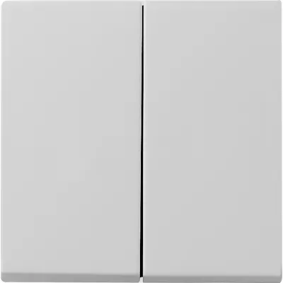 GIRA Wippe 2fach 0295015 | System 55 Schalter/Taster | grau matt | Thermoplast | IP20 | Bussystem geeignet