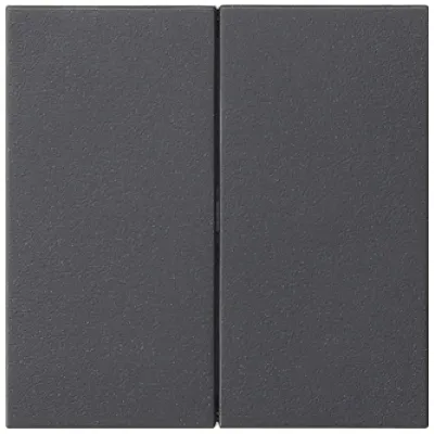 GIRA Wippe 2-fach Anthrazit 537028