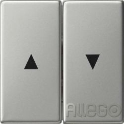 Gira Wippe 2-fach Pfeilsymbol 0294600 System 55 Edelstahl