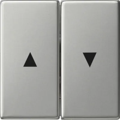 Gira Wippe 2-fach 0294600 | Jalousie Schalterabdeckung | System 55 | Pfeilsymbol | Kunststoff | Edelstahl