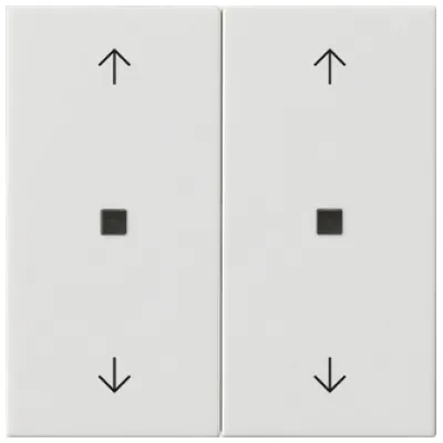 GIRA Wippe 2-fach Reinweiß 538603