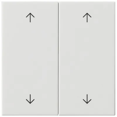 GIRA Wippe 2-fach 538703 | Jalousieschalter System 55 | Pfeilsymbole | Kunststoff glänzend | reinweiß RAL 9010