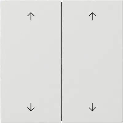 GIRA Wippe 2-fach Reinweiß 5387112