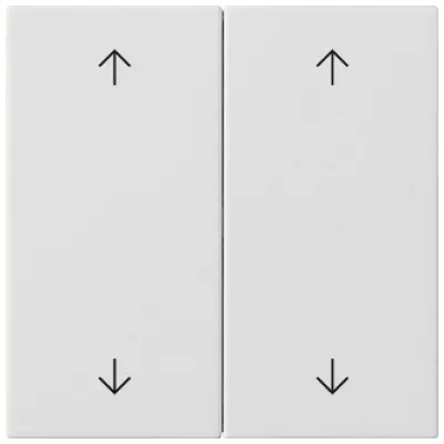 GIRA Wippe 2-fach 538727 | System 55 | Jalousie Schalterabdeckung | Pfeilsymbol | Kunststoff matt | Reinweiß RAL 9010