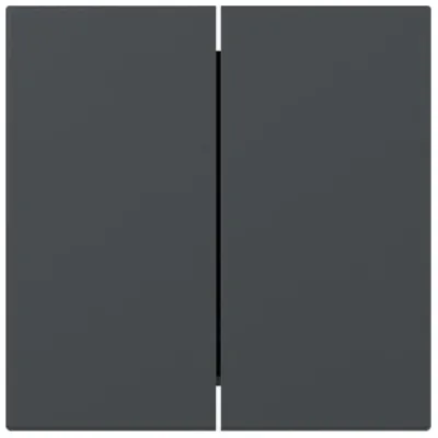 GIRA Wippe 2fach gerade 349528 | System 55 | Serienschalter Einsatz | Kunststoff Thermoplast | anthrazit