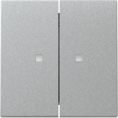 GIRA Wippe 2fach Schalter 363126 | System 55 | Kontrollfenster | Kunststoff | Thermoplast | IP20 | Alu