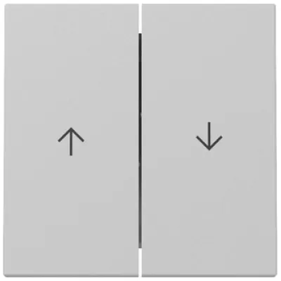 GIRA Wippe 2fach 3294015 | Jalousie Schalter System 55 | Pfeilsymbol | Kunststoff Thermoplast matt lackiert | Grau
