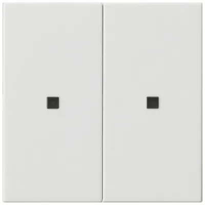 GIRA Wippe 2-fach 536903 | Schalterabdeckung System 3000/55 | unbedruckt | Reinweiß glänzend | Kunststoff | RAL 9010