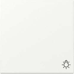 GIRA Wippe 328527 Symb.Licht Sys.55 rws m