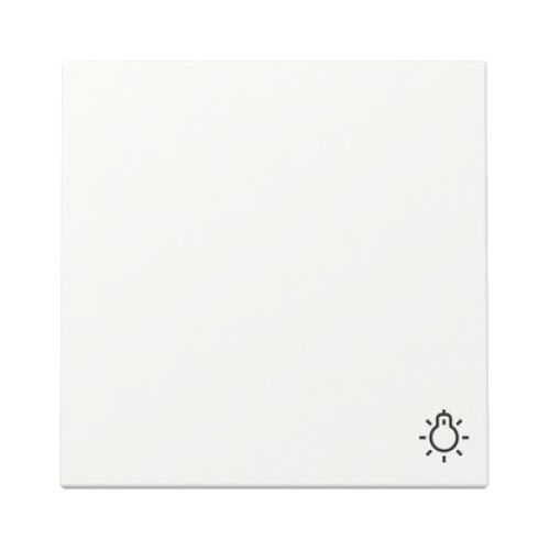 Bild: GIRA Wippe 328527 Symb.Licht Sys.55 rws m