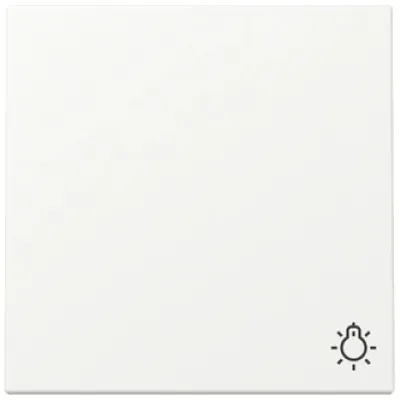 GIRA Wippe Schalter 328527 | System 55 | Symbol Licht | einteilig | Thermoplast | matt | reinweiß seidenmatt | RAL 9010