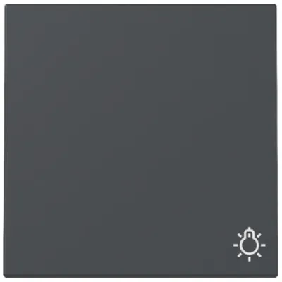 GIRA Wippe Schalter 328528 | Symbol Licht | System 55 | einteilig | Thermoplast | IP20 | anthrazit