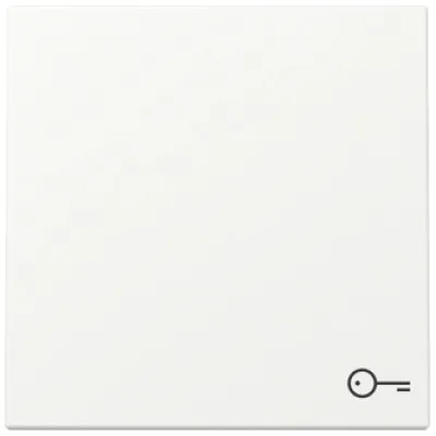 GIRA Wippe Schalter 328727 System 55 | Symbol Tür | Kontrollfenster | Reinweiß seidenmatt | Thermoplast | IP20