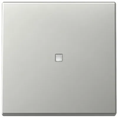 GIRA Kontrollwippe Schalter 3290600 | System 55 | Kontrollfenster | Edelstahl | Metall | Klemmbefestigung | IP20