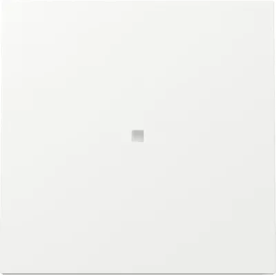 GIRA Wippe Schalter 329070 | Kontrollfenster | Flächenschalter | Thermoplast | glänzend | IP20 | reinweiß RAL 9010