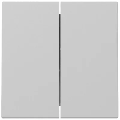 GIRA Wippe 2fach 3295015 Serien Schalter System 55 | Kunststoff Thermoplast | grau matt | IP20 | Bussystem geeignet