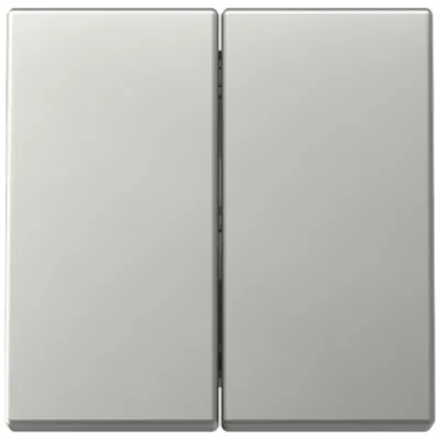 GIRA Wippe 2fach 3295600 | System 55 Schalterabdeckung | Edelstahl | zweiteilig | Klemmbefestigung | IP20