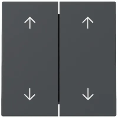 GIRA Wippe 2fach 329728 | Jalousie Schalterabdeckung | Pfeilsymbole | System 55 | Kunststoff Thermoplast | anthrazit