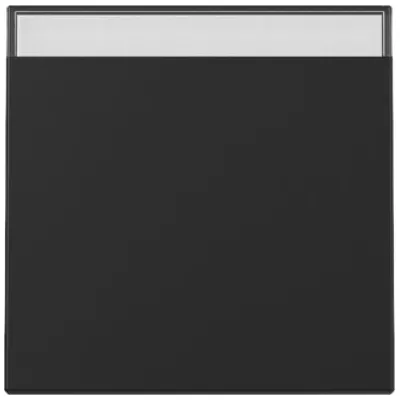 GIRA Wippe Schalter 3299005 System 55 | Beschriftungsfeld | einteilig | Thermoplast | schwarz matt lackiert