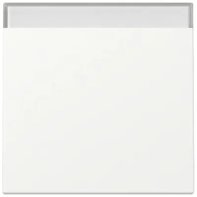 GIRA Wippe Schalter 329927 System 55 | Beschriftungsfeld | Kunststoff Thermoplast | reinweiß seidenmatt | RAL 9010