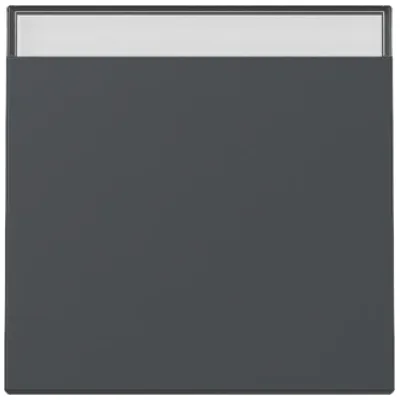 GIRA Wippe Schalter 329928 | System 55 | Beschriftungsfeld | Kunststoff Thermoplast | anthrazit