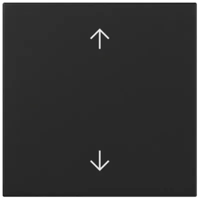 GIRA Wippe 3616005 Pfeile System 55 Schwarz matt