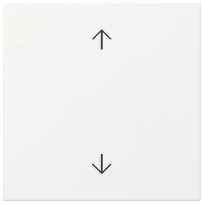 GIRA Wippe 361603 Pfeile System 55 reinw.