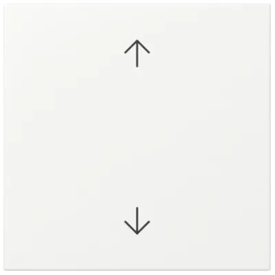 GIRA Wippe 361627 Pfeile System 55 reinw. matt