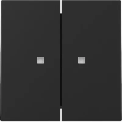 GIRA Wippe 2fach Serien-Schalter 3631005 | System 55 | Kontrollfenster | Schwarz matt | Thermoplast | IP20 | lackiert
