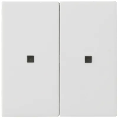 GIRA Wippe 2-fach 536927 | System 3000 | System 55 | ohne Aufdruck | Kunststoff | Reinweiß seidenmatt | matt