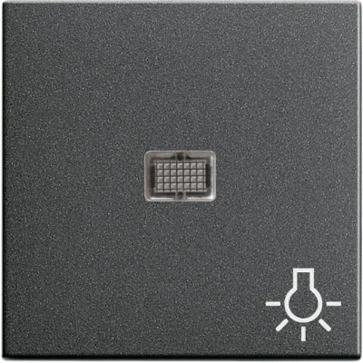 GIRA Kontrollwippe Schalter System 55 063028 | Symbol Licht | großes Kontrollfenster | Klemmbefestigung | anthrazit