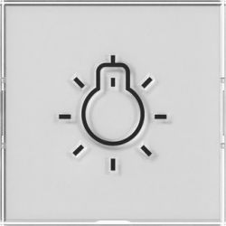 GIRA Wippe BSF + Symb. Licht Farbneutral 321600