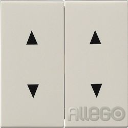 Gira Wippe cws-gl m.Pfeilsymbolen 115001