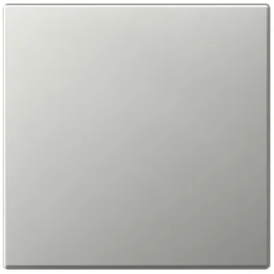 GIRA Wippe Schalter 3496600 | System 55 | Edelstahl | gerade stehend | Metall | Farbe Edelstahl