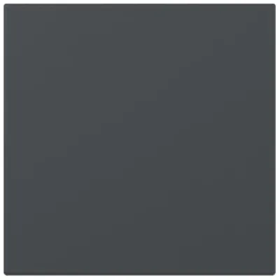 GIRA Wippe Schalter 349628 | System 55 | gerade Ausführung | Thermoplast | anthrazit