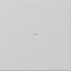 GIRA Wippe gerade Kontrollf. Grau m 3490015